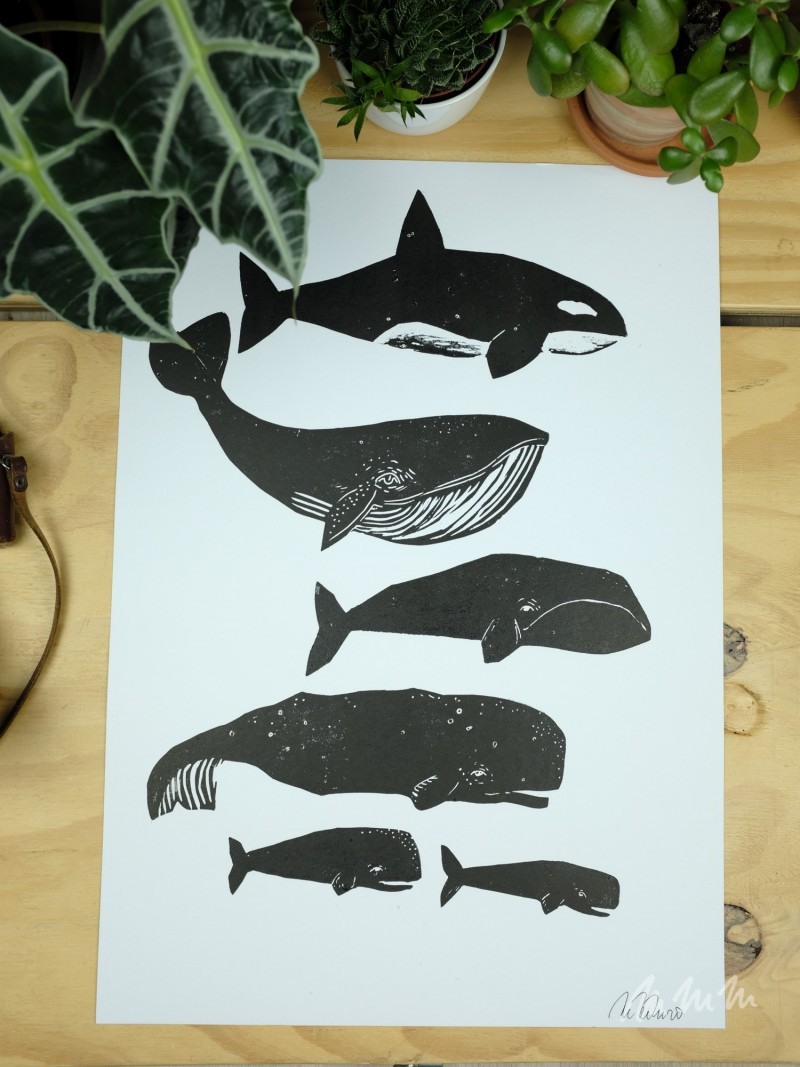 Linoryt velryby černé