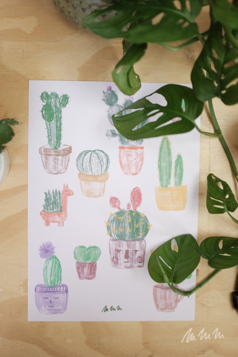 Plakát Kaktusy